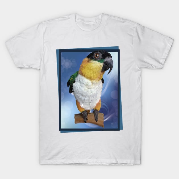 caique T-Shirt by obscurite